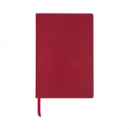 Vista notebook, red