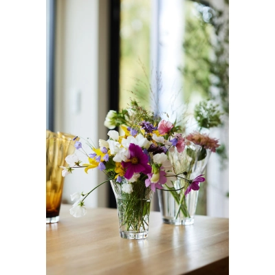 
                                            VIVA VASE, LARGE TRANSPARENT
                                            