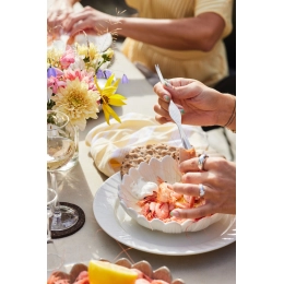 Cutlery for fruit & Oacute;in the sea SIVAN, 4-pack