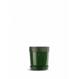 ELISE DONICZKA, ЗЕЛЕНЫЙ