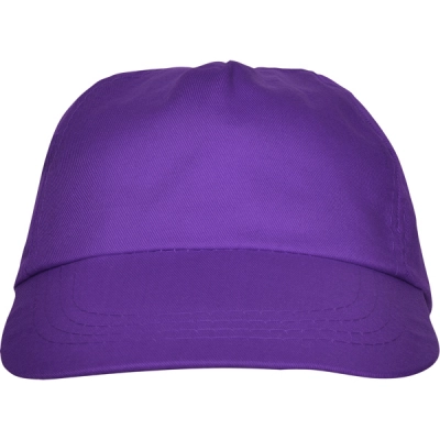 
                                                BASICA CAP C/ PURPLE
                                                