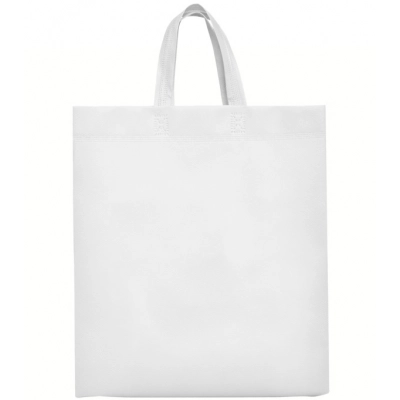 
                                            LAKE NON WOVEN BAG 40X35X12 WHITE
                                            