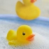 Резиновая утка DUCK