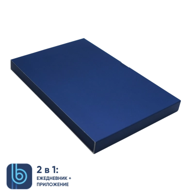 
                                            Box for Bplanner Daily Planner (Blue)
                                            