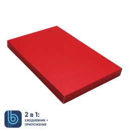 Box for Bplanner Daily Planner (Red)