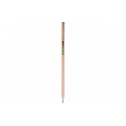 Карандашная биография