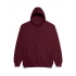 COLLEGE HOODIE