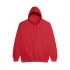 COLLEGE HOODIE