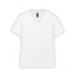 SOFTSTYLE ® ADULT V-NECK T-SHIRT