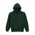 SOFTSTYLE® MIDWEIGHT FLEECE YOUTH HOODIE