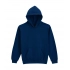 SOFTSTYLE® MIDWEIGHT FLEECE YOUTH HOODIE