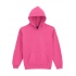 SOFTSTYLE® MIDWEIGHT FLEECE YOUTH HOODIE