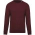 MEN'S ORGANIC COTTON CREW NECK RAGLAN SLEEVE SWEATSHIRT