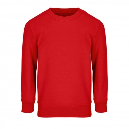 SOL'S COLUMBIA KIDS' - KIDS' SWEATSHIRT