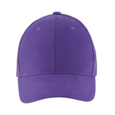 
                                                SOL'S BUFFALO - SIX PANEL CAP
                                                