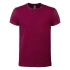 Evolution T-Shirt