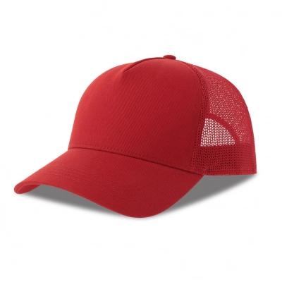 
                                                Бейсболка RAPPER COTTON-S, 5 клиньев, пластиковая застёжка, 280
                                                