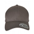 Flexfit 110 Curved Visor Snapback