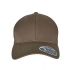 Flexfit 110 Curved Visor Snapback