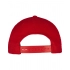 Flexfit 110 Curved Visor Snapback