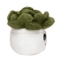 Soft Toy & figures. Schmoozies® Evergreenies® Succulent Soft Toy & figures. Schmoozies® Evergreenies® Succulent