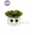 Soft Toy & figures. Schmoozies® Evergreenies® Succulent Soft Toy & figures. Schmoozies® Evergreenies® Succulent