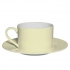 New Bone China Cup and Saucer