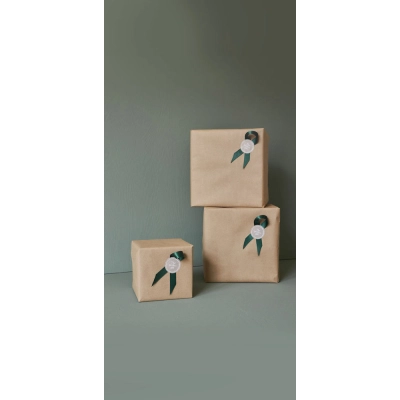 
                                                Package wrapping
                                                