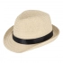 Plant straw hat with coloured band