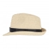 Plant straw hat with coloured band