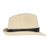Plant straw hat with coloured band