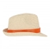 Plant straw hat with coloured band