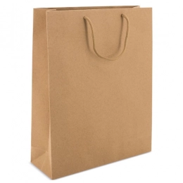 LUXE CARDBOARD BAG WITH HANDLE