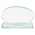 GLASS TROPHY