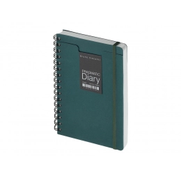 Ежедневник недатированный А5 «Pragmatic»