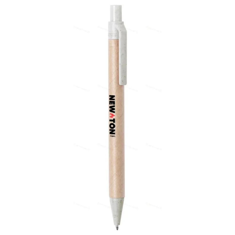 
                                                ballpoint pen
                                                