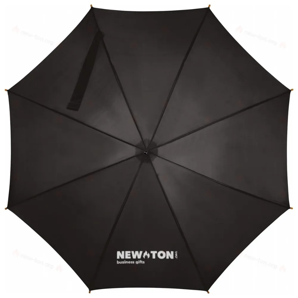 
                                            Automatic umbrella
                                            