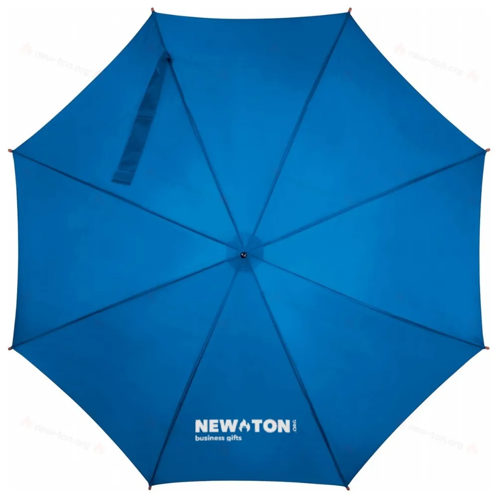 
                                            Automatic umbrella
                                            