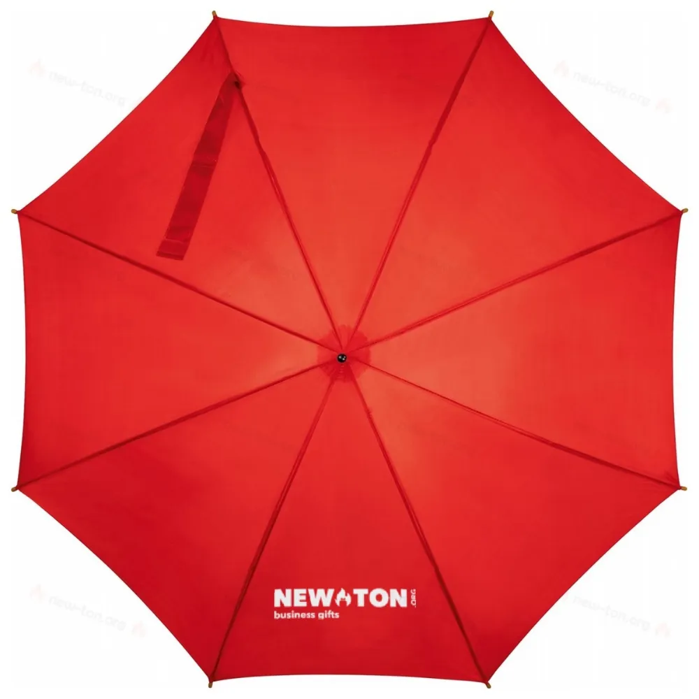 
                                            Automatic umbrella
                                            
