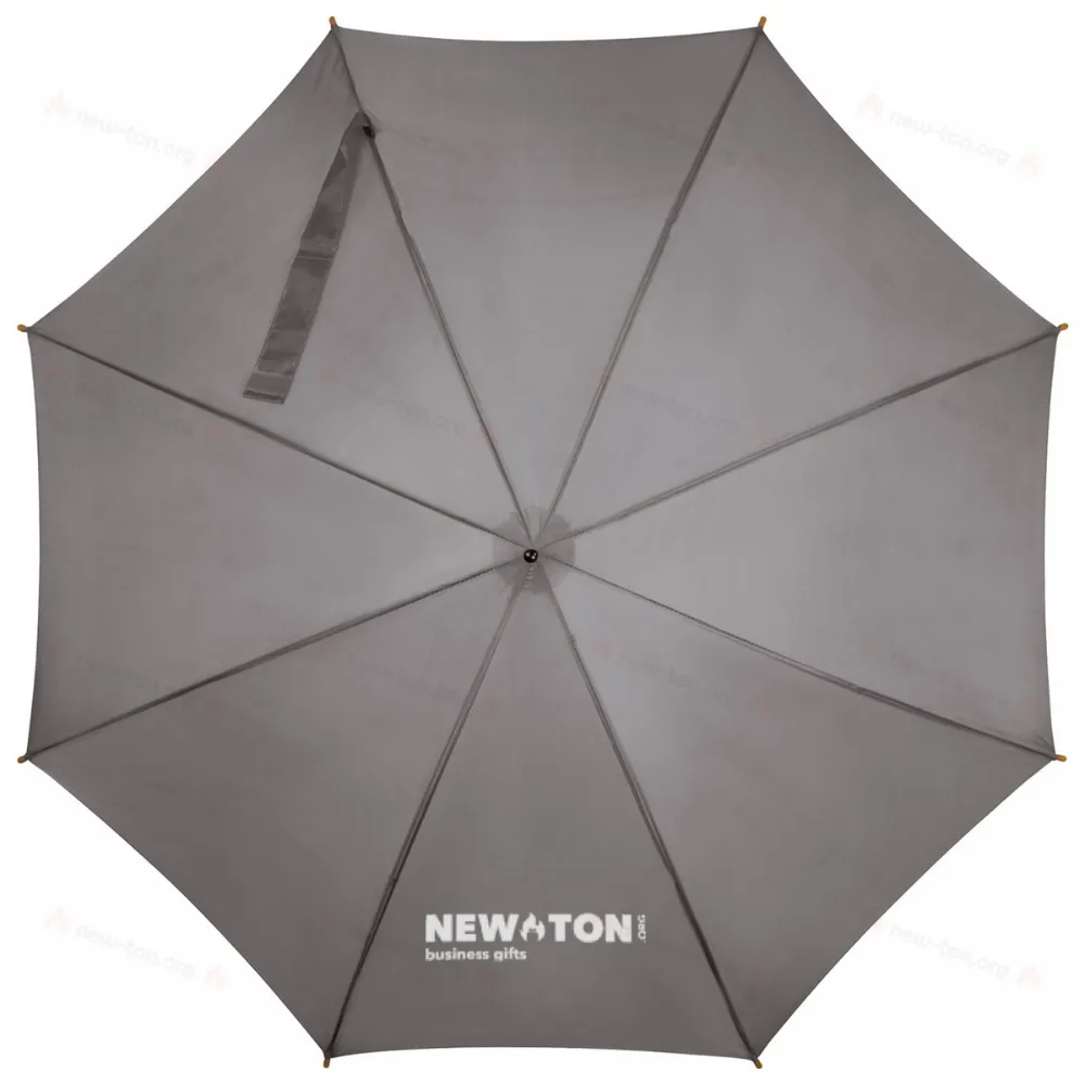 
                                            Automatic umbrella
                                            