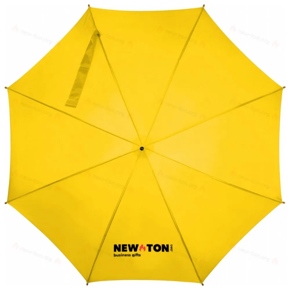
                                            Automatic umbrella
                                            