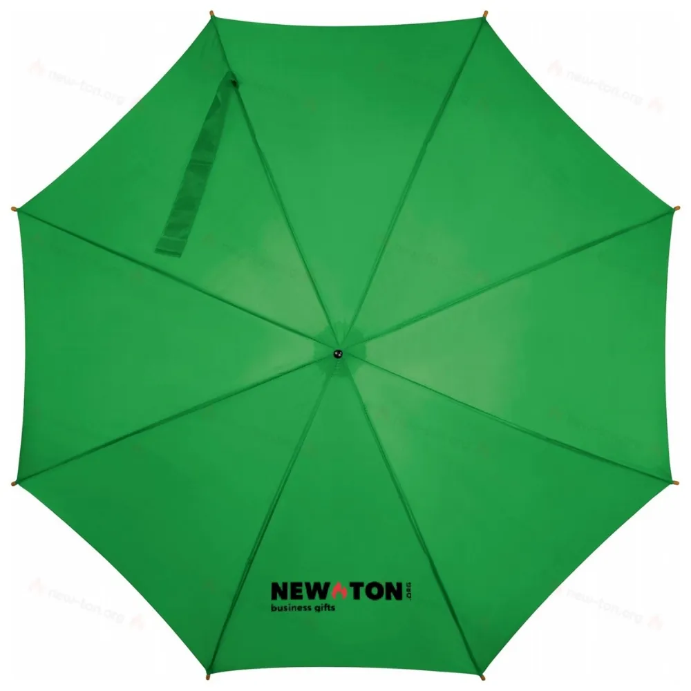 
                                            Automatic umbrella
                                            