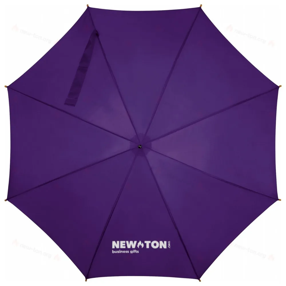 
                                            Automatic umbrella
                                            