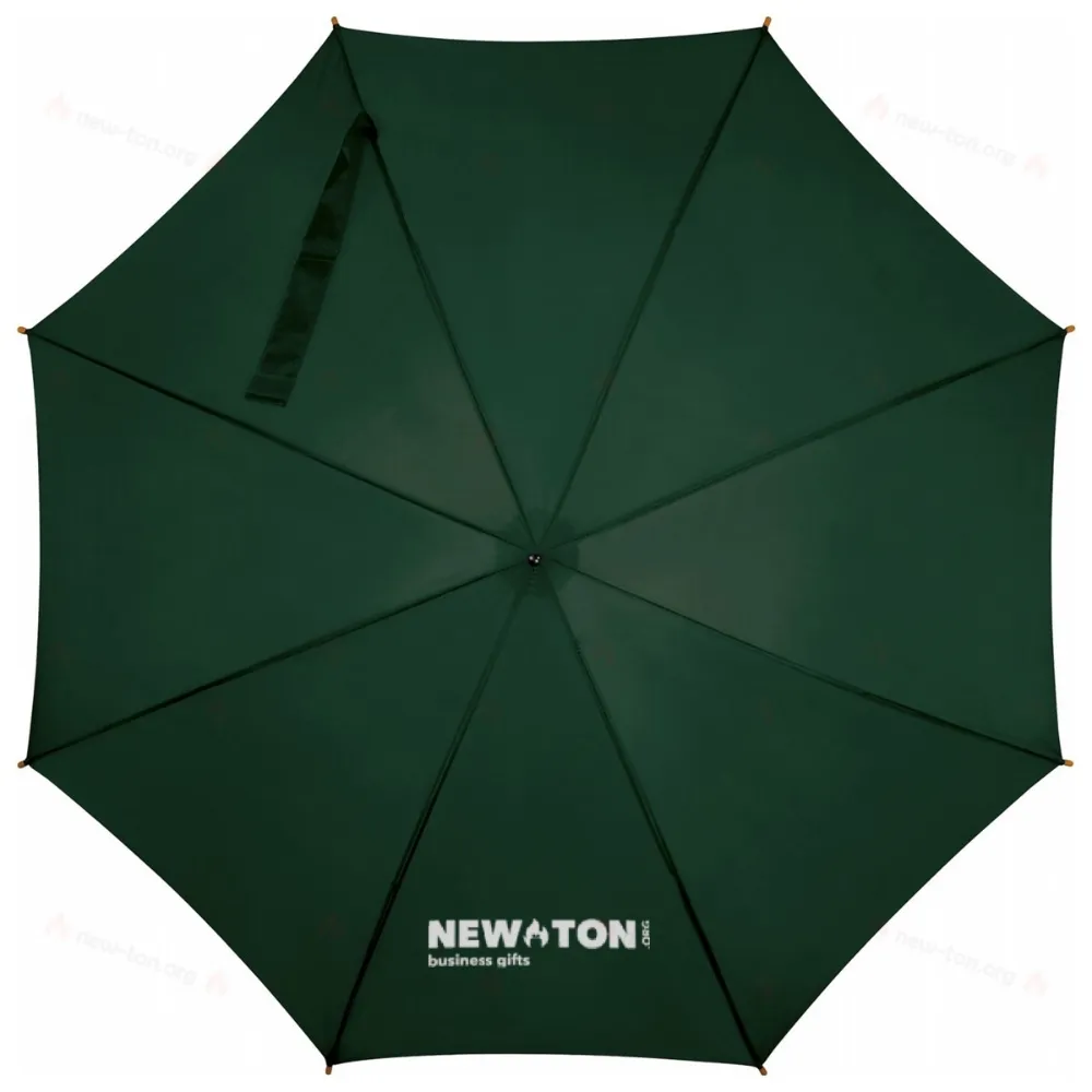 Автоматический зонт