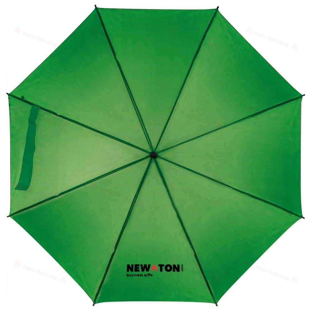 
                                            Automatic umbrella
                                            