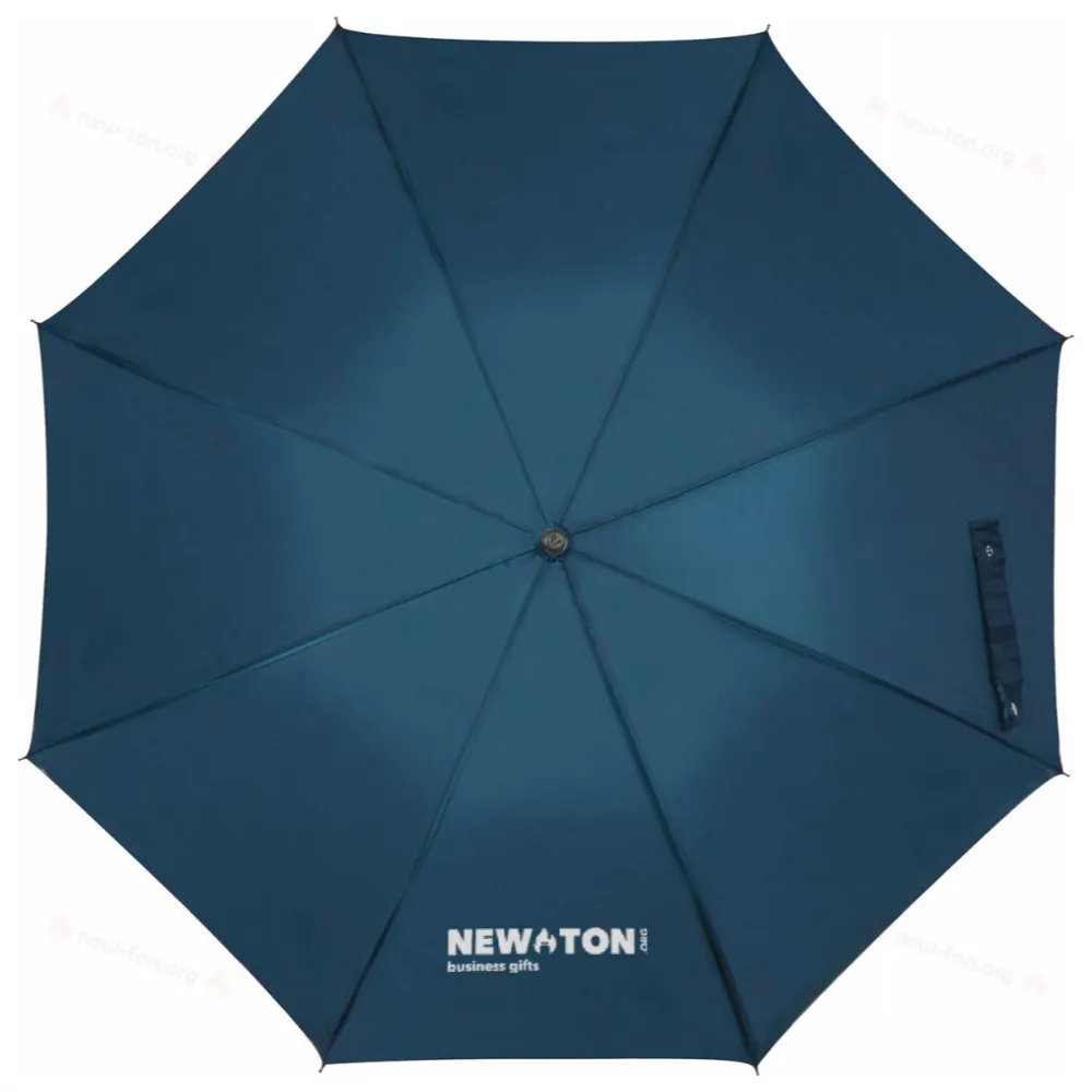 
                                            Automatic umbrella
                                            