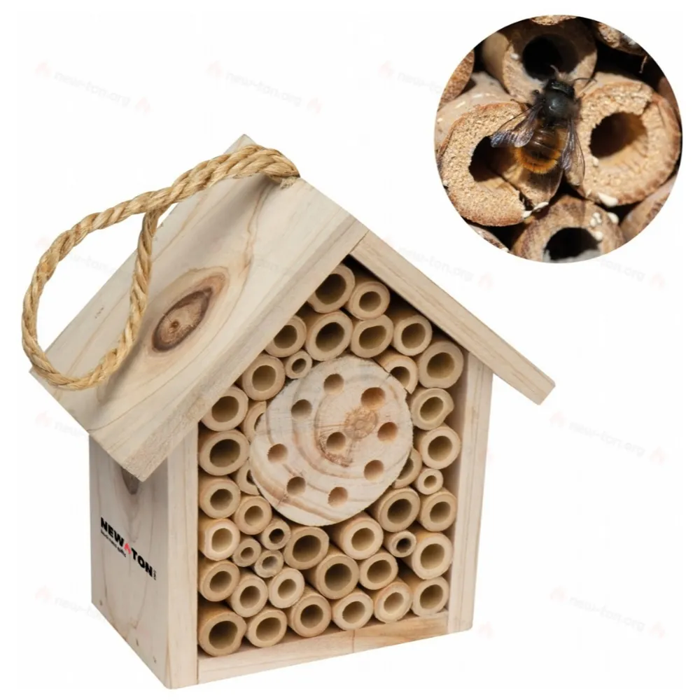 
                                            Insect hotel
                                            