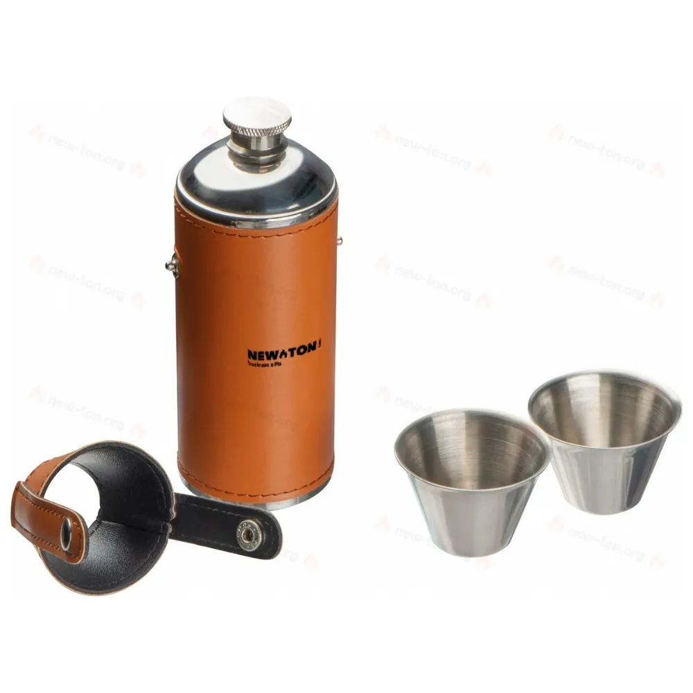 
                                                Stainless steel hip flask with 2 pins
                                                