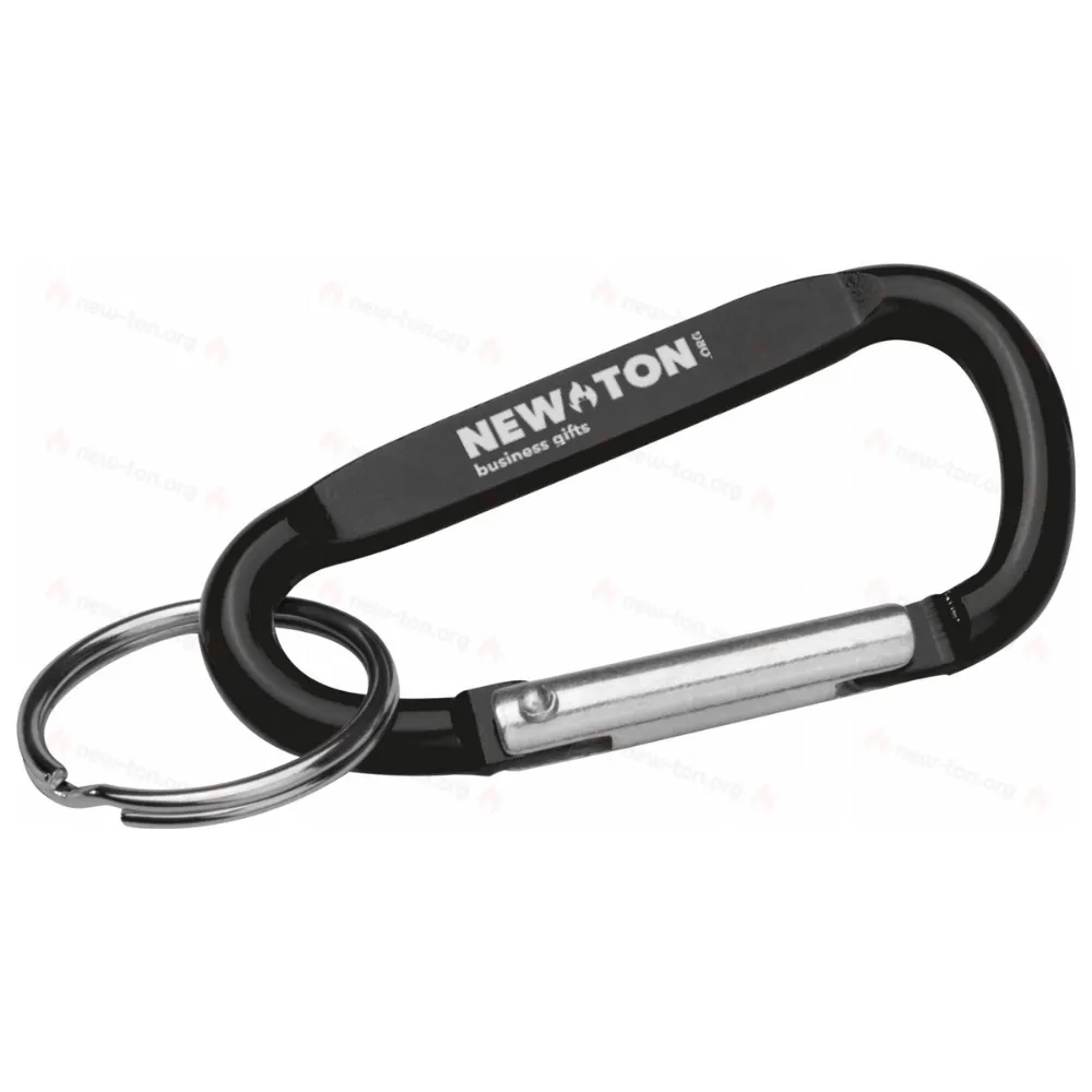 
                                            Key chain with carabiner
                                            