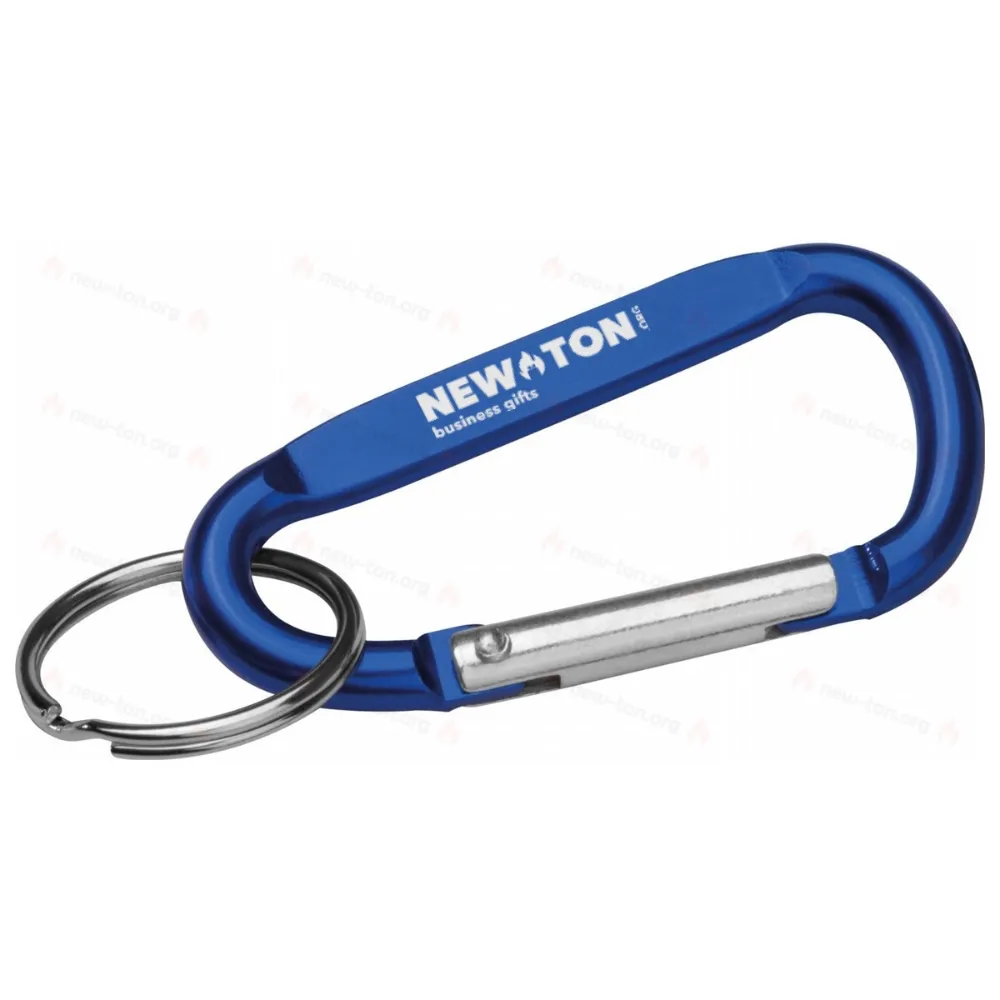 
                                            Key chain with carabiner
                                            